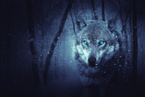 Klima-ulven er her, men vi kan håndtere den. (Foto: Yuri_B fra Pixabay)